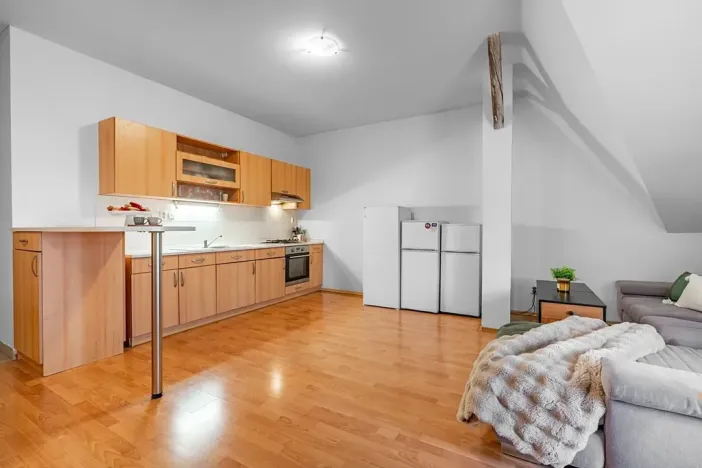 Prodej bytu 4+kk, Brno, Vranovská, 130 m2