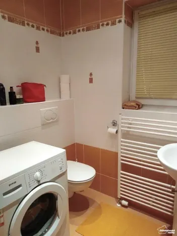 Pronájem bytu 2+kk, Železná Ruda, 37 m2