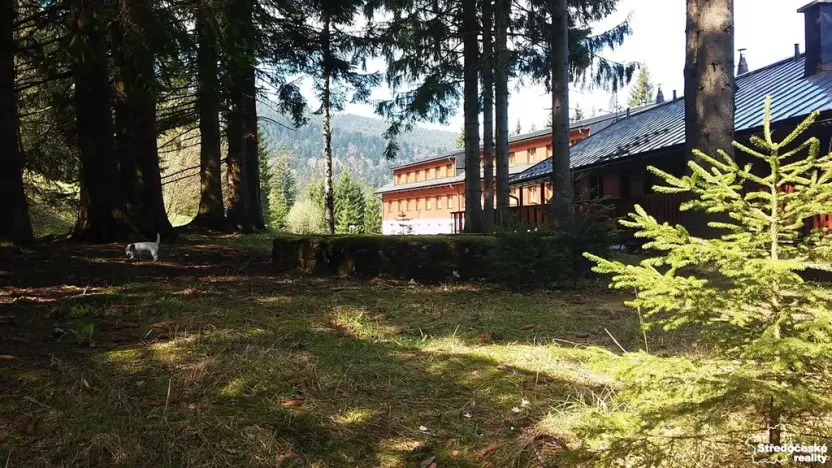 Pronájem bytu 2+kk, Železná Ruda, 37 m2