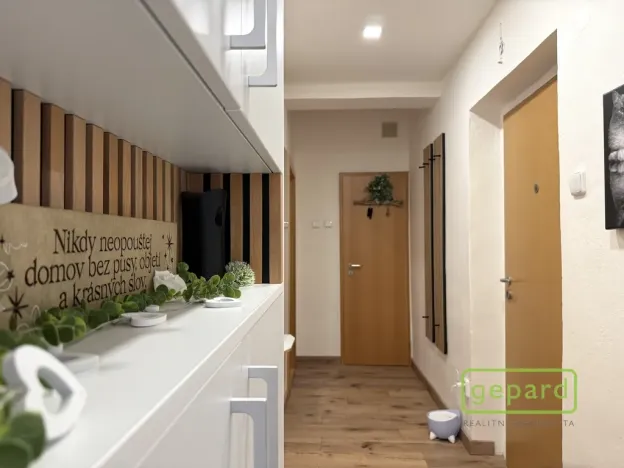 Prodej bytu 2+kk, Olomouc, Karafiátová, 57 m2