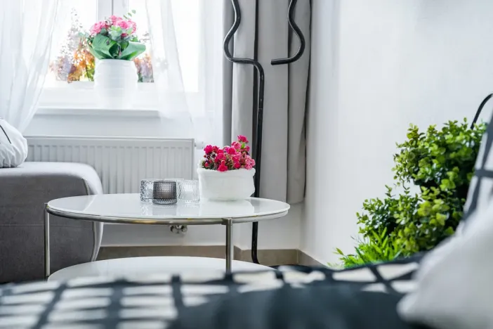 Pronájem bytu 1+kk, Albrechtice nad Orlicí, 1. máje, 26 m2