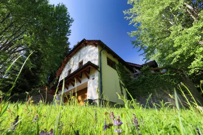 Prodej vily, Přední Výtoň, Frýdava, 298 m2