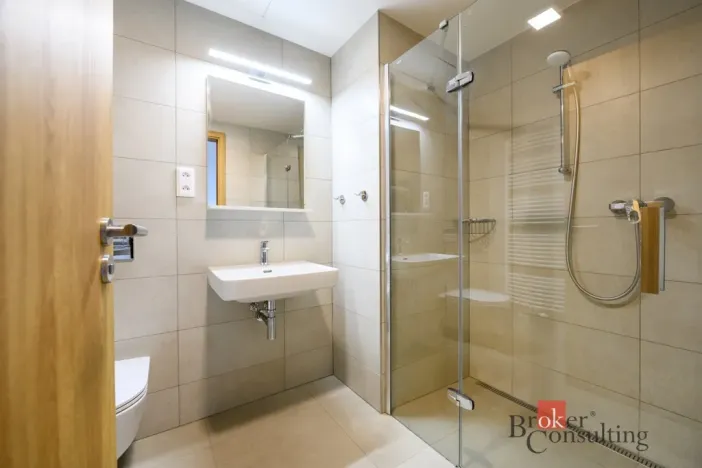 Pronájem bytu 2+kk, Plzeň - Východní Předměstí, Pallova, 56 m2