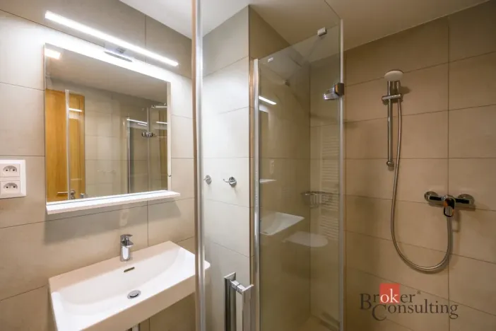 Pronájem bytu 2+kk, Plzeň - Východní Předměstí, Pallova, 56 m2