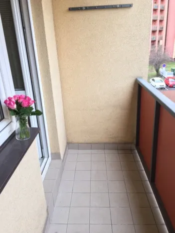 Pronájem bytu 1+1, Ostrava - Moravská Ostrava, Josefa Brabce, 36 m2