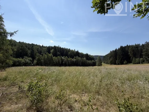 Prodej pozemku pro bydlení, Gruna - Žipotín, 3632 m2
