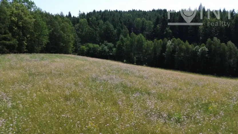 Prodej komerčního pozemku, Gruna - Žipotín, 3632 m2