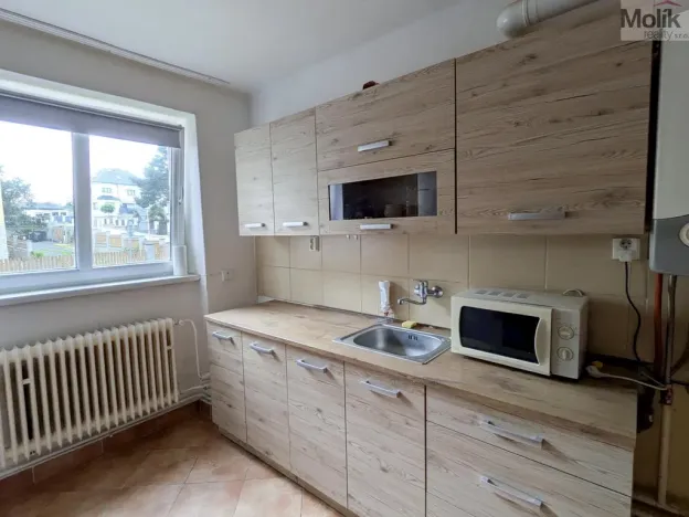 Pronájem bytu 2+1, Teplice, Maxe Švabinského, 60 m2