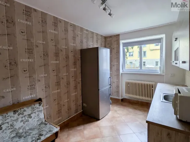 Pronájem bytu 2+1, Teplice, Maxe Švabinského, 60 m2