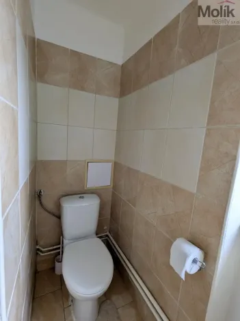 Pronájem bytu 2+1, Teplice, Maxe Švabinského, 60 m2