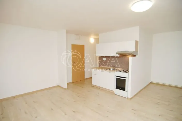 Pronájem bytu 1+kk, Praha - Karlín, Nekvasilova, 27 m2