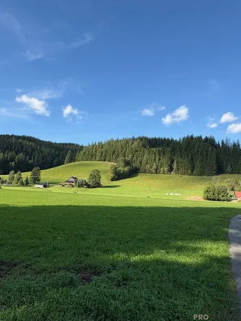 Prodej pozemku pro bydlení, Velké Karlovice, 17407 m2