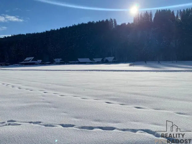 Prodej pozemku pro bydlení, Velké Karlovice, 17407 m2