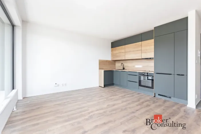 Pronájem bytu 1+kk, Plzeň - Východní Předměstí, Kartónová, 35 m2