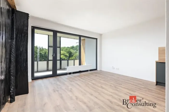 Pronájem bytu 1+kk, Plzeň - Východní Předměstí, Kartónová, 35 m2