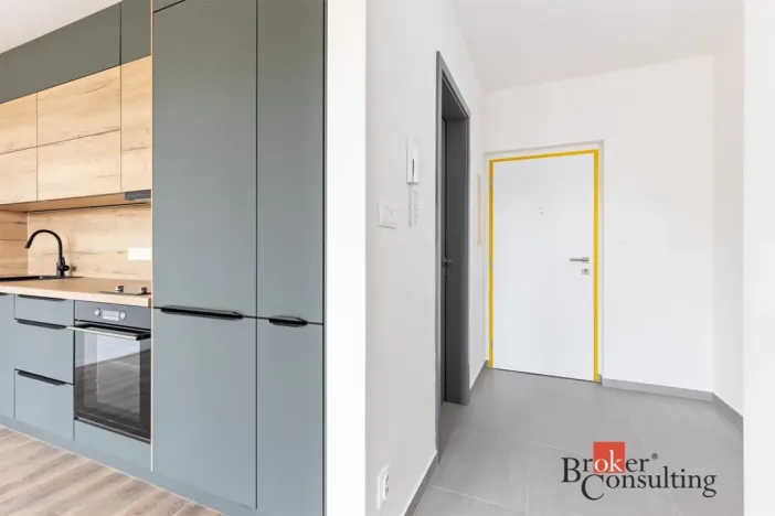 Pronájem bytu 1+kk, Plzeň - Východní Předměstí, Kartónová, 35 m2
