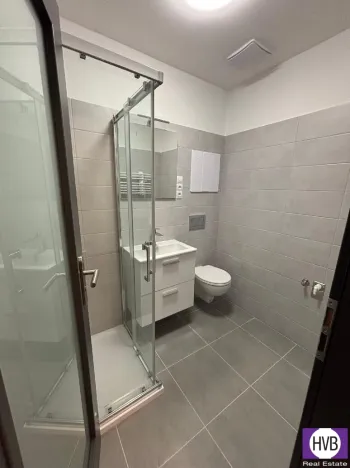 Pronájem bytu 1+kk, Písek, Vladislavova, 24 m2