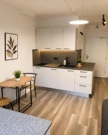 Pronájem bytu 1+kk, Praha - Střížkov, Děčínská, 30 m2