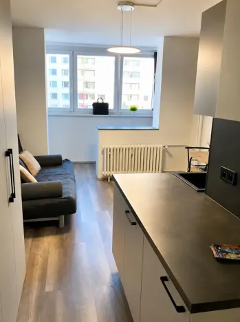 Pronájem bytu 1+kk, Praha - Střížkov, Děčínská, 30 m2