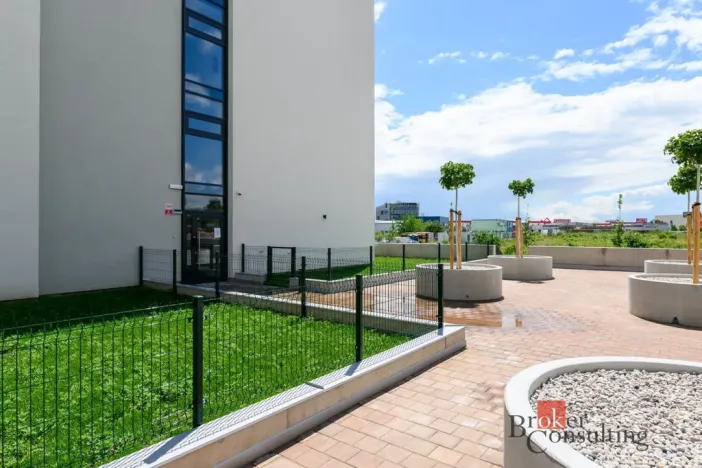 Pronájem bytu 1+kk, Plzeň - Jižní Předměstí, Železná, 31 m2
