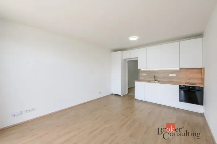 Pronájem bytu 1+kk, Plzeň - Jižní Předměstí, Železná, 31 m2