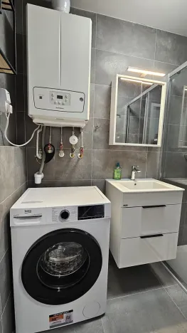 Pronájem bytu 2+1, Brno, Cejl, 53 m2