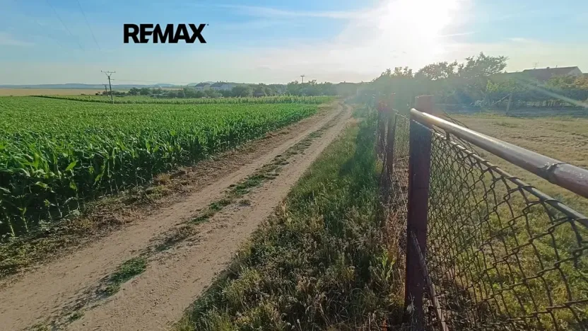 Pronájem sadu/vinice, Bořetice, 1092 m2