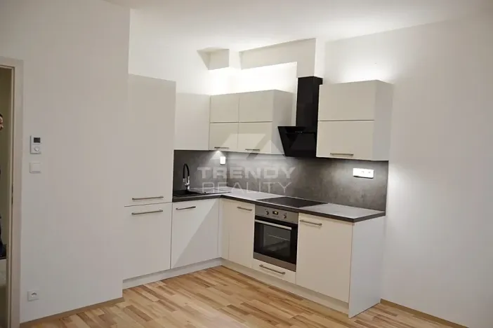 Pronájem bytu 1+kk, Plzeň, Nemocniční, 29 m2