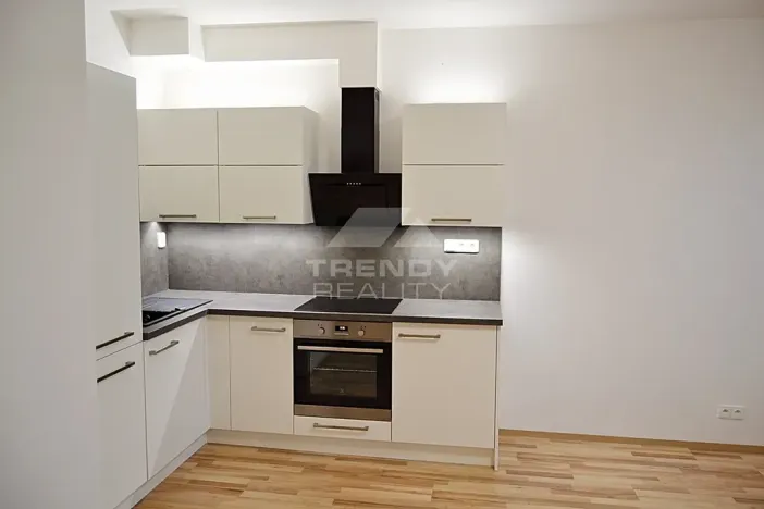 Pronájem bytu 1+kk, Plzeň, Nemocniční, 29 m2