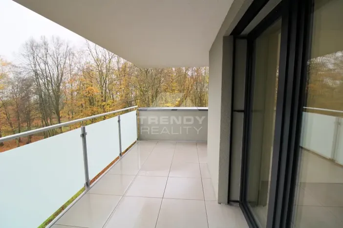 Pronájem bytu 2+kk, Plzeň, Heyrovského, 56 m2