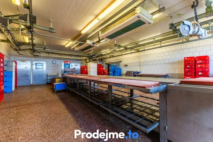 Prodej výrobních prostor, Borotice, 1821 m2