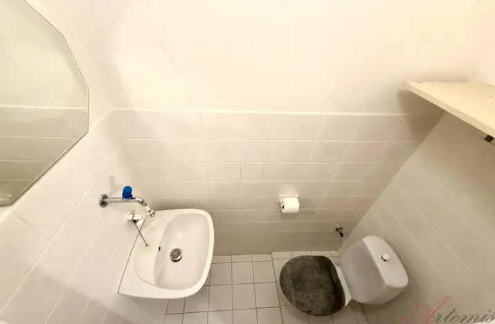 Prodej rodinného domu, Ostrava - Hrabůvka, Edisonova, 248 m2