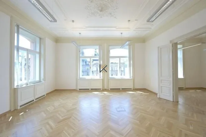 Pronájem kanceláře, Praha - Nové Město, Václavské náměstí, 466 m2