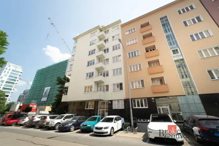 Pronájem bytu 1+1, Brno - Veveří, Burešova, 56 m2