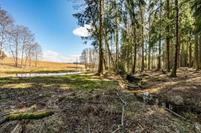 Prodej komerčního pozemku, Zbraslavice - Rápošov, 13515 m2