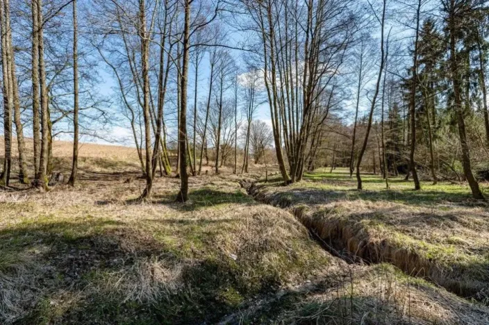 Prodej komerčního pozemku, Zbraslavice - Rápošov, 13515 m2