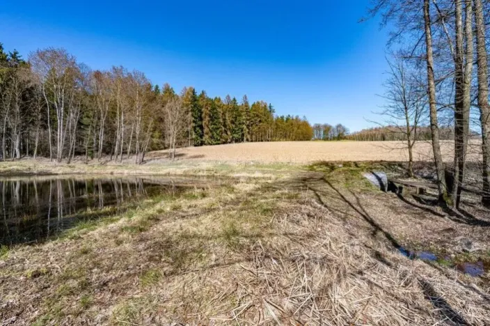 Prodej komerčního pozemku, Zbraslavice - Rápošov, 13515 m2