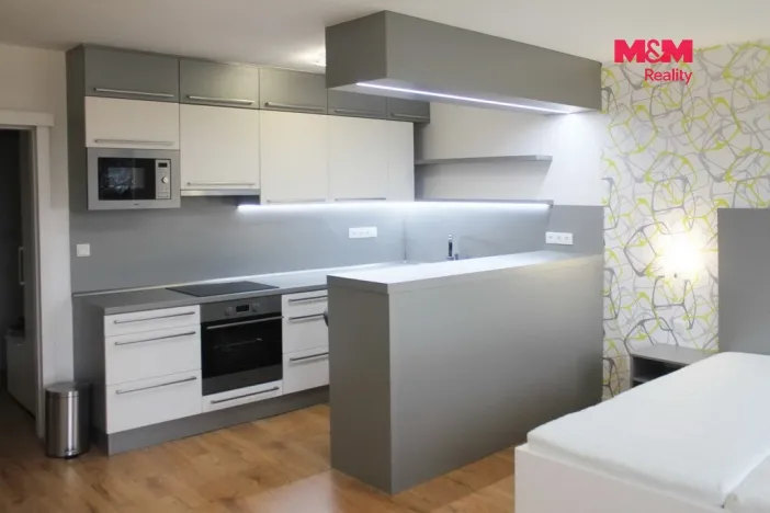 Pronájem bytu 1+kk, Ústí nad Labem - Všebořice, Spartakiádní, 31 m2