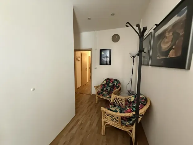 Pronájem obchodního prostoru, Brno, Gorkého, 30 m2