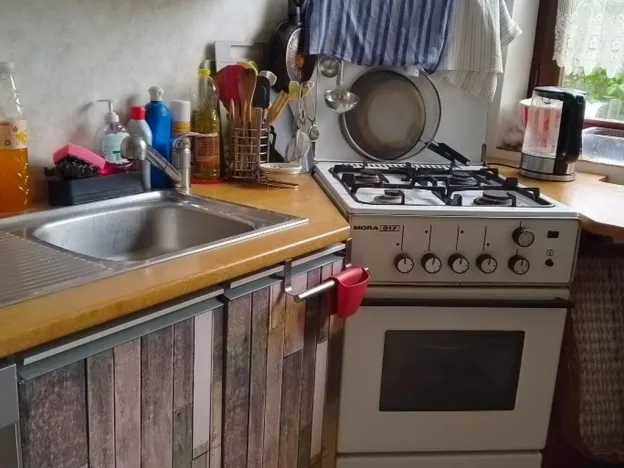 Dražba rodinného domu, Skalice u České Lípy, 180 m2