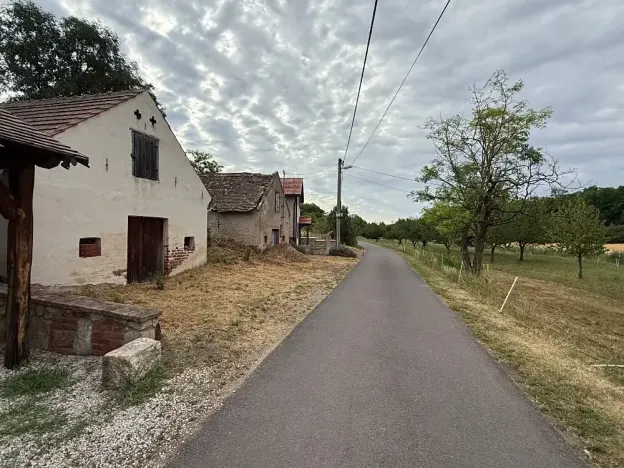 Prodej vinného sklepa, Novosedly, 136 m2