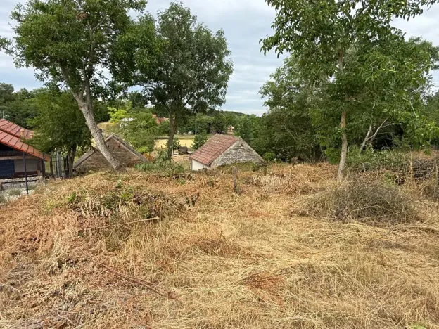 Prodej vinného sklepa, Novosedly, 136 m2