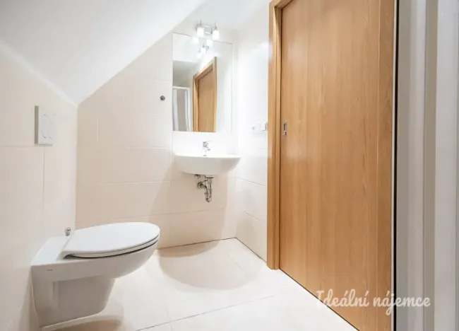Pronájem bytu 2+kk, Praha - Holešovice, Tusarova, 64 m2