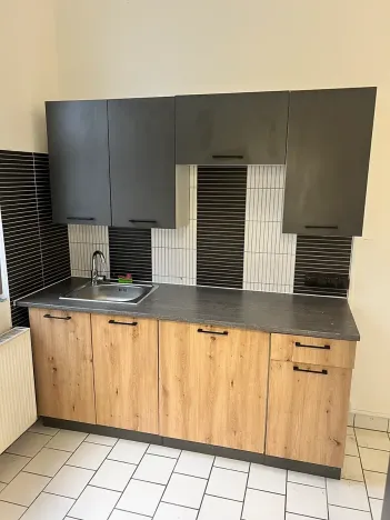 Pronájem obchodního prostoru, Dalovice, Botanická, 550 m2