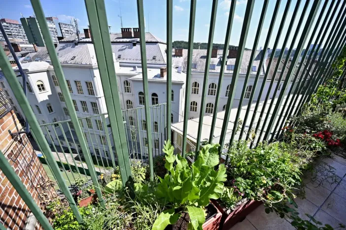 Prodej atypického bytu, Praha - Vršovice, Minská, 320 m2