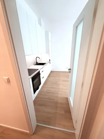 Pronájem bytu 2+kk, Brno, třída Generála Píky, 84 m2