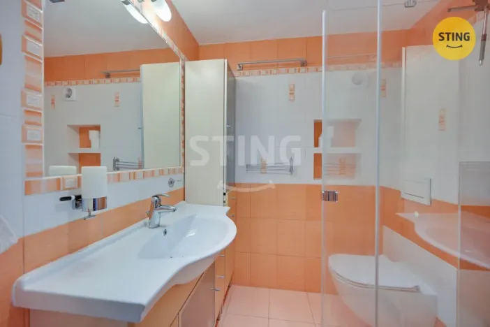 Prodej rodinného domu, Pardubice, Ve Lhotkách, 340 m2