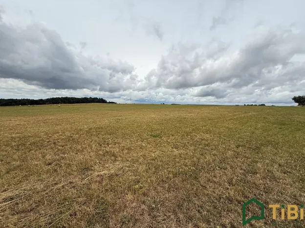 Prodej pole, Suchý, 2000 m2