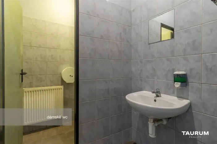Pronájem obchodního prostoru, Plzeň - Východní Předměstí, Koterovská, 217 m2