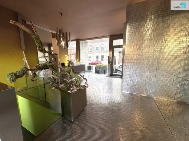 Pronájem bytu 2+kk, Praha - Žižkov, Prokopova, 66 m2